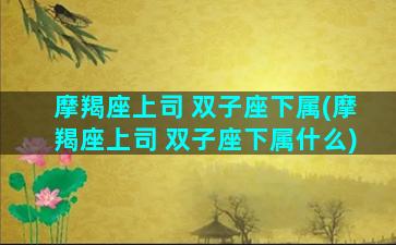 摩羯座上司 双子座下属(摩羯座上司 双子座下属什么)
